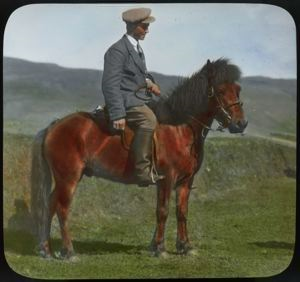 Image: Horse and Rider